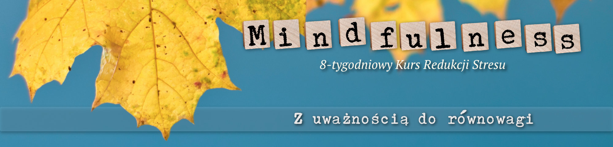 MBSR%20banner%20autumn%20chestnut